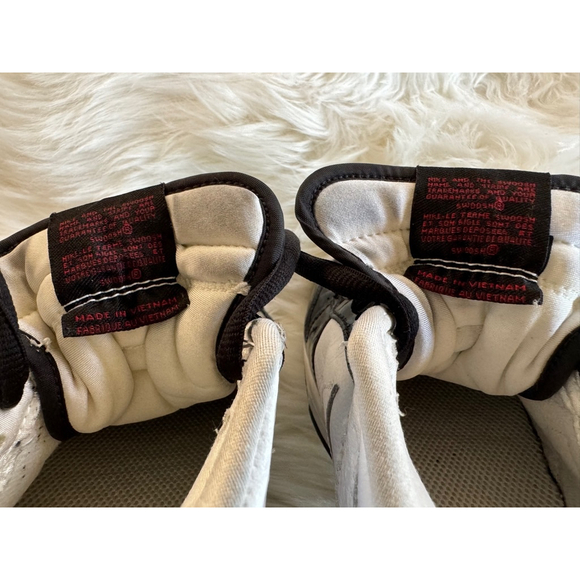 Nike | Dunk Low Premium ‘Jordan Pack’ 307696-113 | Size 12 - Picture 9 of 13